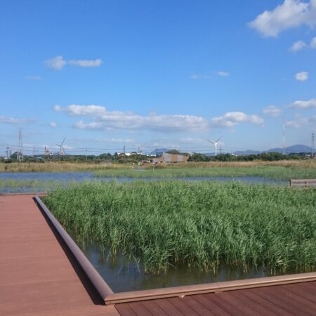 北九州市響灘ビオトープ