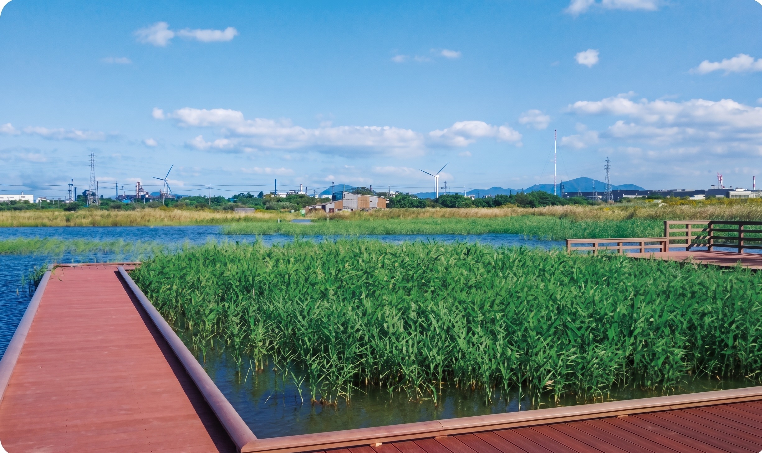 響灘ビオトープ