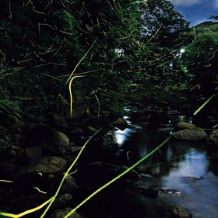 北九州市ほたる館