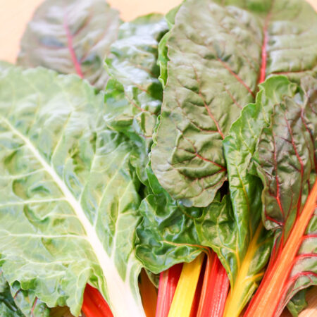 合馬の竹林保全活動