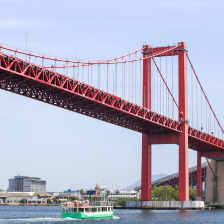 曽根干潟の渡り鳥観察レポート