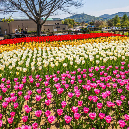 到津の森公園の動物たち
