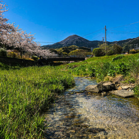 山頂からの眺め