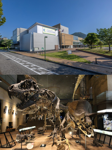 いのちのたび博物館