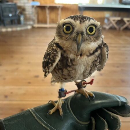 子ども自然教室